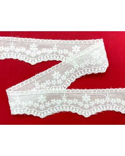Piazza Pizzo Sangallo White Embroidery Florine scalloped Tip 3 cm