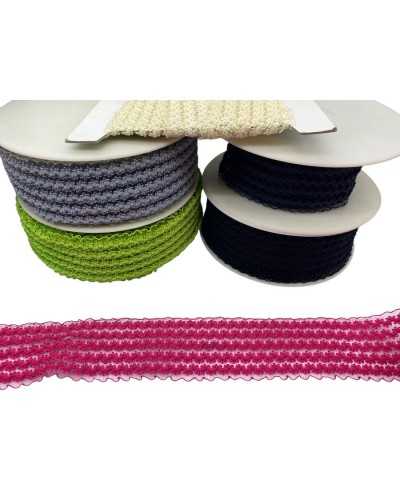 50 cm Banding-Gurtband-elastisches Band Organza voll eingebundene Stickerei 5 cm hoch
