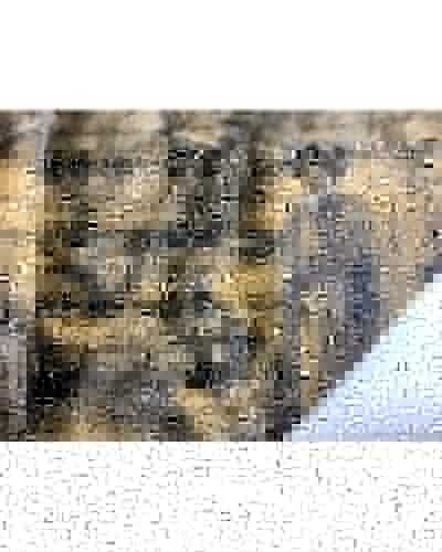 50 cm ökologischer Pelzstoff mit gepunkteter horizontaler Linie, 150 cm hoch