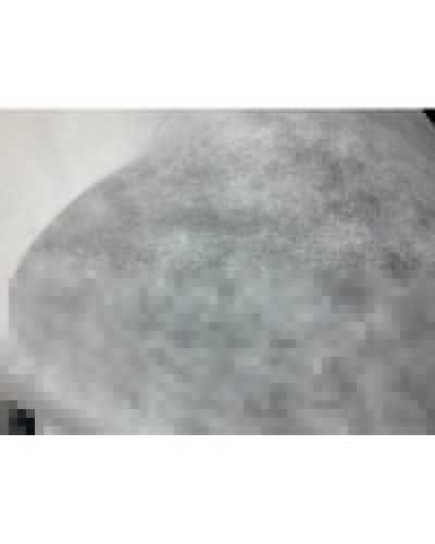 Weißer TNT-Vliesstoff, Gewicht 30 Gramm, Höhe 150 cm
