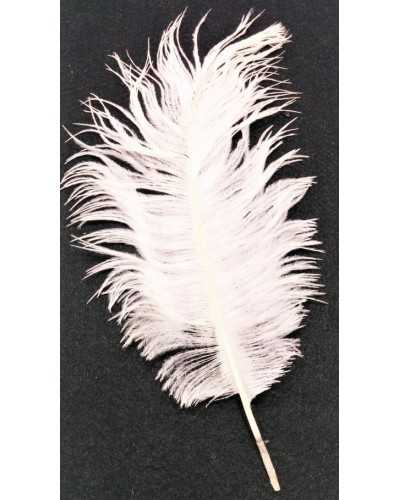 Colored ostrich feathers 25-30 cm high