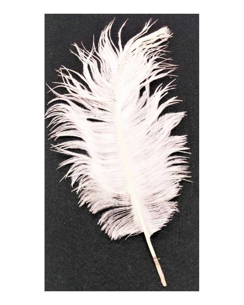 Colored ostrich feathers 25-30 cm high