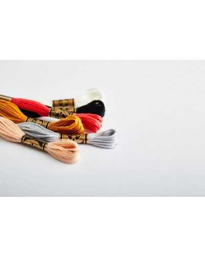 Mouliné Spécial DMC Embroidery skein ref. 117mc Orange Tone