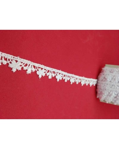 18,80 Mt Passamaneria Macramè Merletto Puntina Fiorellino Alto 1 Cm
