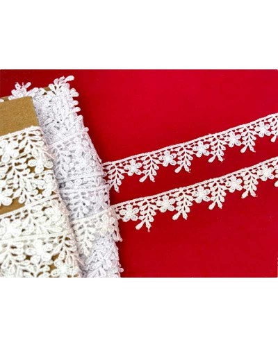 19,30 Mt Passamaneria Pizzo Macramè Merletto Fiore Rami Foglie Puntina Alto 2 Cm
