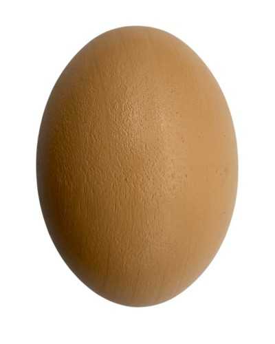 Plastic ramming egg measuring 6 cm diameter 15 cm