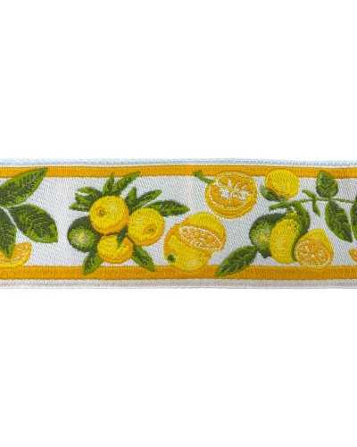 Trimmings Ribbon Tyrolean Gallon Embroidery Fruit Lemon Orange High 45 Mm