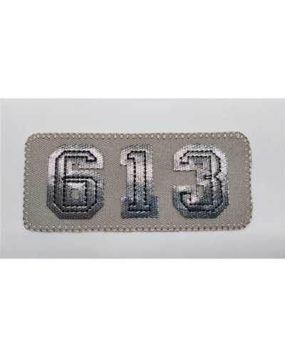 Aufnäher zum Aufbügeln, Stoff, Stickerei, Zahlen, Lurex 613, rechteckig, 9 x 4 cm
