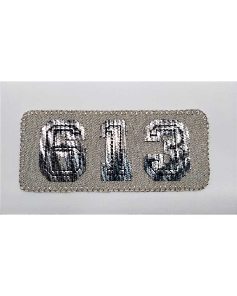 Iron-on Patch Fabric Embroidery Numbers Lurex 613 Rectangular 9x4 Cm